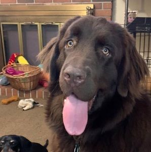 Meet your Posher, Beverly